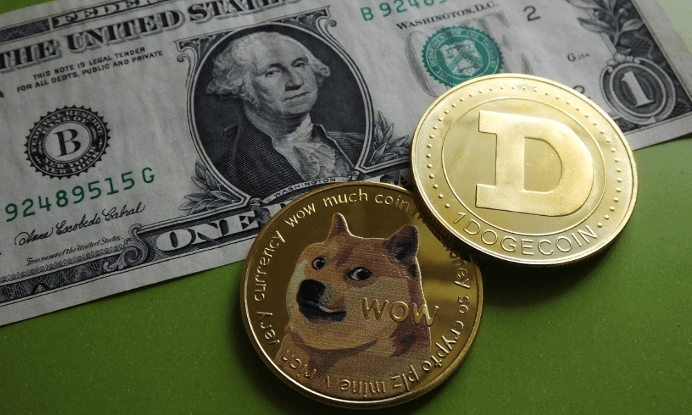 Ukraine Supporters Can Now Also Make Donations in Dogecoin