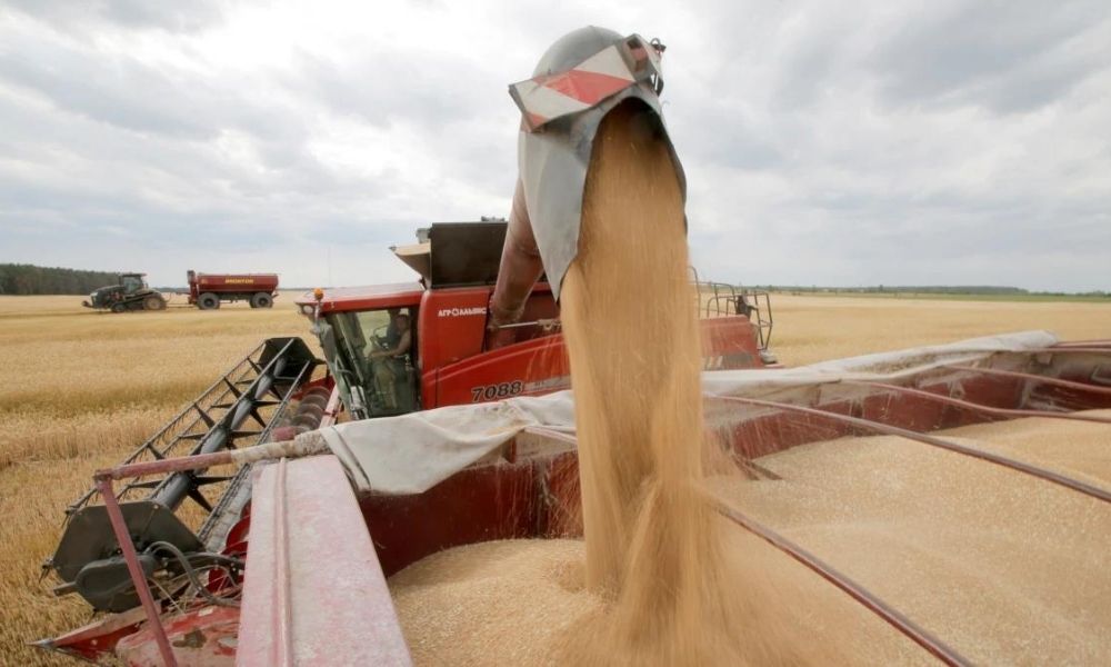 Ukraine’s farmers stalled, fueling fears of global food shortages